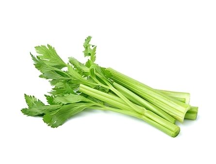 Celery